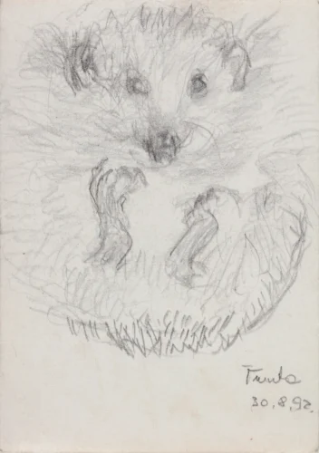 Sketches and Drawings 20 jfatur tunta 1991 XL